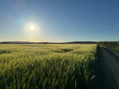 Banovo brdo pred smiraj dana