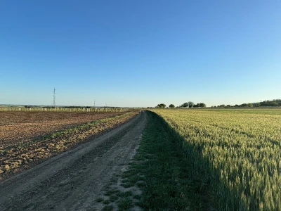 Banovo brdo pred smiraj dana