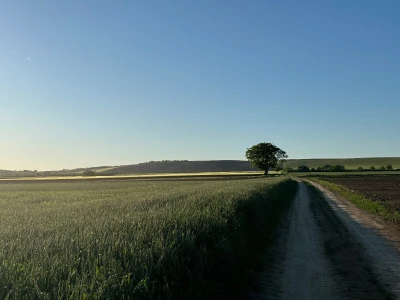 Banovo brdo pred smiraj dana