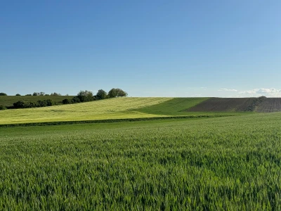 Banovo brdo pred smiraj dana