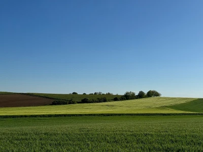 Banovo brdo pred smiraj dana