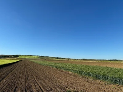 Banovo brdo pred smiraj dana