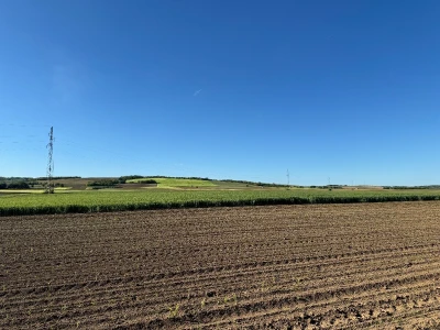 Banovo brdo pred smiraj dana