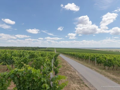Baranja kroz objektiv lokalnog fotografa