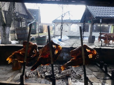 Baranja - sve važnija destinacija kontinentalnog turizma
