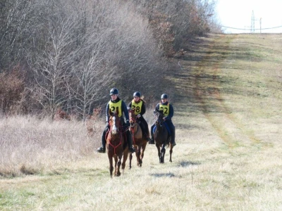 Barban - Istra