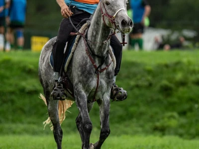Barban - Istra