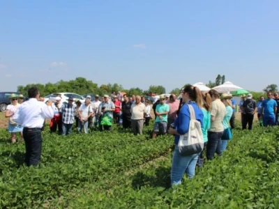 BASF Dan polja, Slakovci