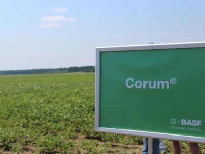 Corum - herbicid za suzbijanje korova u soji, lucerni, grahu i grašku