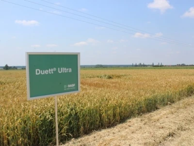 Duett Ultra - preventivni i kurativni sistemični fungicid