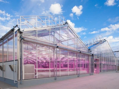 BASF staklenici