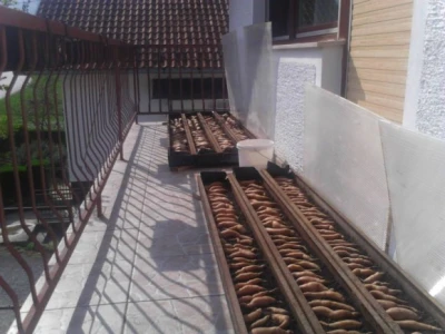 Batat spreman za prodaju na kućnom pragu