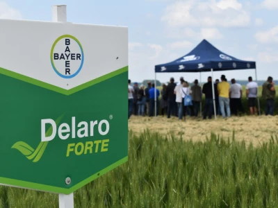 Bayer AGROFEST 2023.