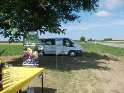 Bayerovi pokusi u vinogradima Iloka