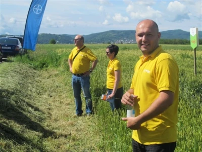 Bayer Dani polja - Alaginci