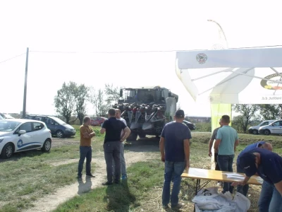 BC Dani polja kukuruza u Starom Topolju