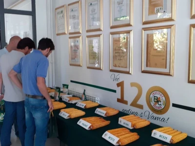 Bc Institut - 125 godišnjica