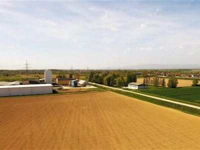 Bc institut