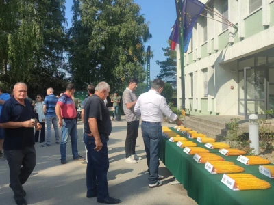 Bc Institut - Dan polja hibrida kukuruza, Rugvica 2025.
