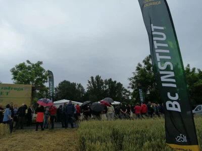 BC Institut na Danu polja u Međimurju predstavio nove sorte pšenice