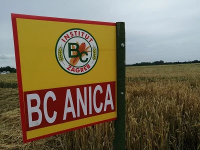 BC Institut na Danu polja u Međimurju predstavio nove sorte pšenice