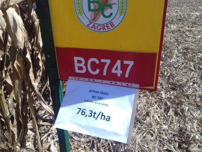 BC institut u Starom Topolju