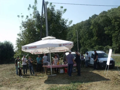 BC soje