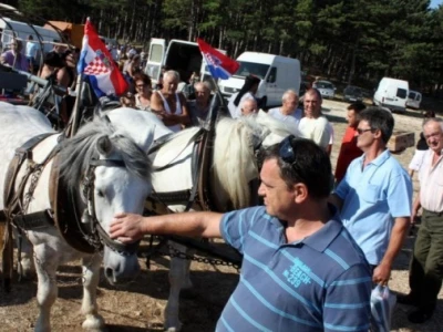 Benkovački stočni sajam