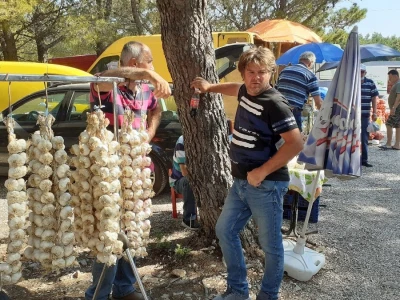 Benkovački sajam