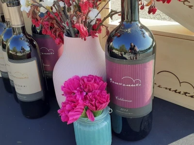 Benvenuti vina