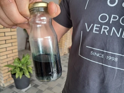 Berba eko kamilice na OPG-u Verner Bruno