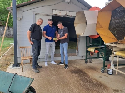 Berba eko kamilice na OPG-u Verner Bruno