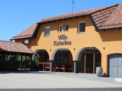 Berba marelica i stabla maslina na Poljoprivrednom obrtu Škobić