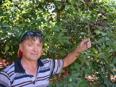 Zoran Čirjak