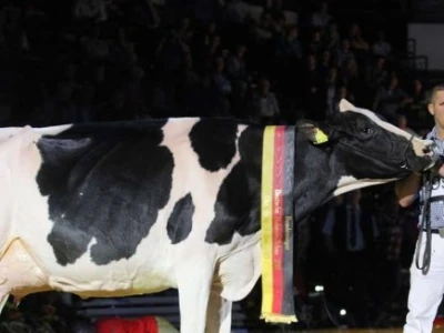 Ponosna šampionka, a još ponosniji gazda