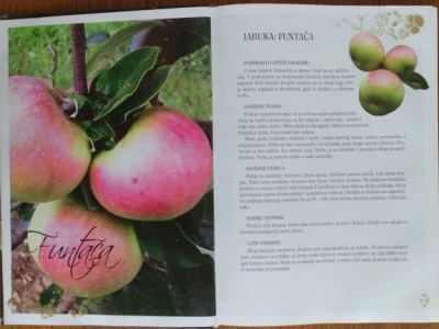 Autohtone sorte jabuka i krušaka sa prostora Boisne i Hercegovine