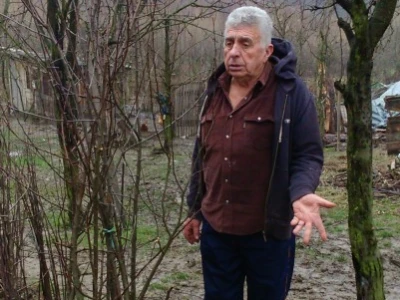 Vahid Beširević