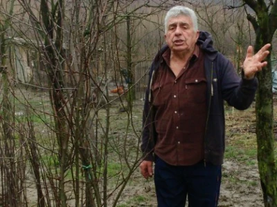 U voćnjaku Vahida Beširevića
