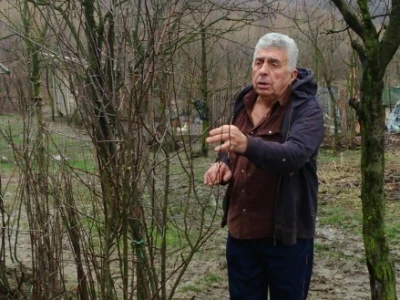 Vahid Beširević