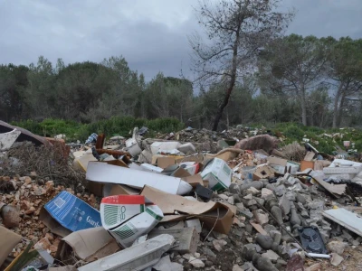 BIBINJE - Protiv podizanja najvećeg ekloškog  nasada rogača u Republici Hrvatskoj
