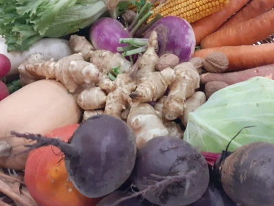 Biodinamička poljoprivreda