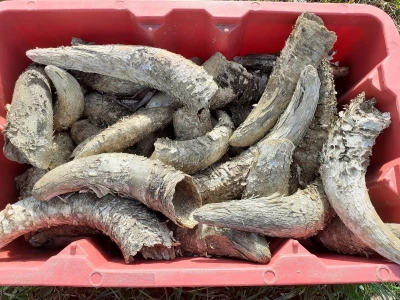 Biodinamička poljoprivreda
