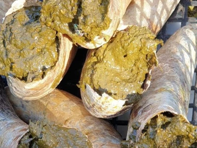 Biodinamičko gospodarstvo Biomara Iličić