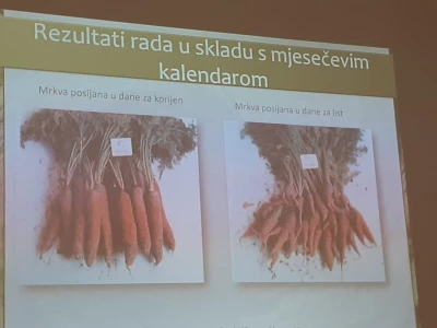 Biodinamičko gospodarstvo Biomara Iličić