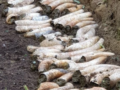 Biodinamičko gospodarstvo Biomara Iličić
