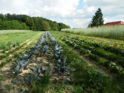 Biodinamičko gospodarstvo Biomara Iličić