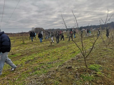 BIOinput predavanje i pokazna rezidba lijeske