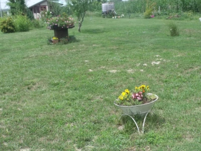 seljačko domaćinstvo Ana