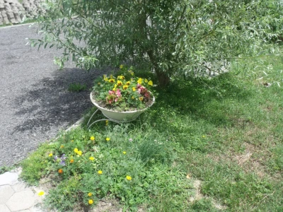 seljačko domaćinstvo Ana