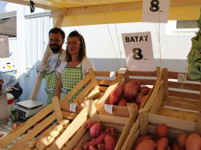 OPG Perec i ponuda batata